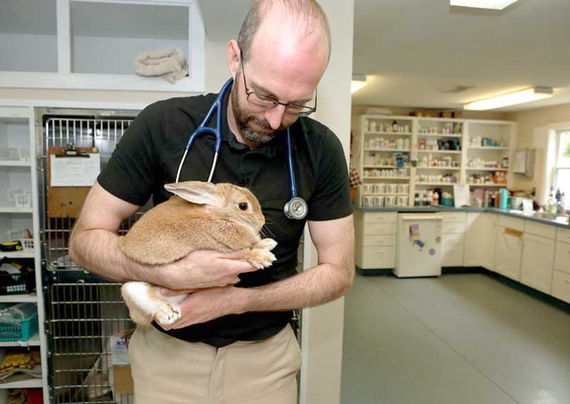 Carousel Slide 4: Rabbit and small animal care
